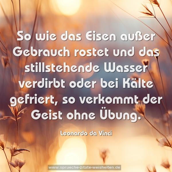 So wie das Eisen außer Gebrauch rostet und das stillstehende Wasser verdirbt oder bei Kälte gefriert, so verkommt der Geist ohne Übung.
