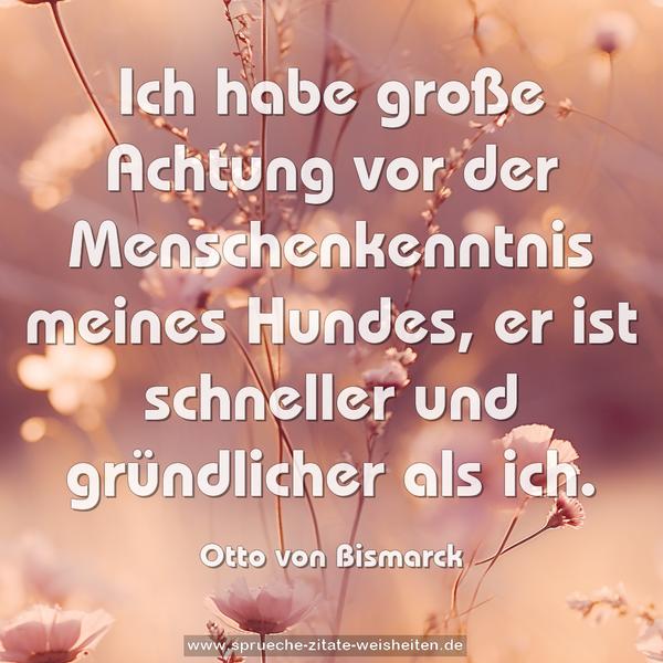 Ich habe große Achtung vor der Menschenkenntnis meines Hundes, er ist schneller und gründlicher als ich.