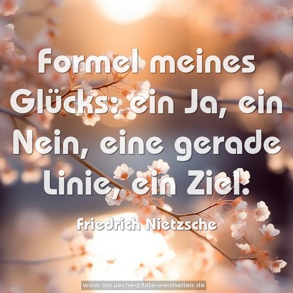  Formel meines Glücks:
ein Ja, ein Nein, eine gerade Linie, ein Ziel.
