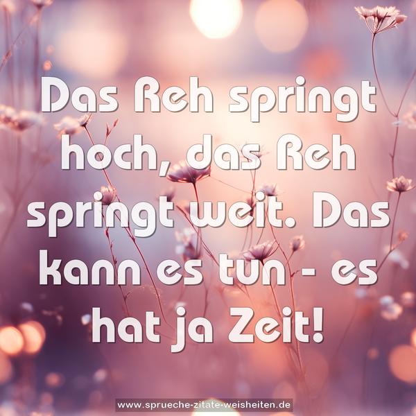 Das Reh springt hoch, das Reh springt weit.
Das kann es tun - es hat ja Zeit!