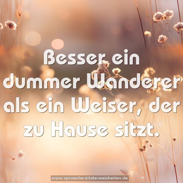 Besser ein dummer Wanderer als ein Weiser, der zu Hause sitzt.