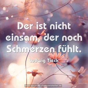 Der ist nicht einsam, der noch Schmerzen fühlt.