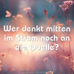Wer denkt mitten im Strom noch an die Quelle?