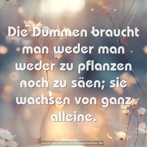 Die Dummen braucht man weder man weder zu pflanzen
noch zu säen;
sie wachsen von ganz alleine.