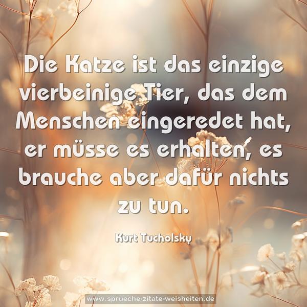 Die Katze ist das einzige vierbeinige Tier,
das dem Menschen eingeredet hat, er müsse es erhalten,
es brauche aber dafür nichts zu tun. 