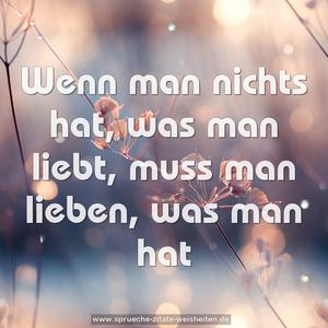 Wenn man nichts hat, was man liebt,
muss man lieben, was man hat