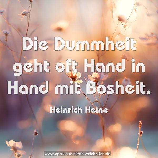 Die Dummheit geht oft Hand in Hand mit Bosheit.