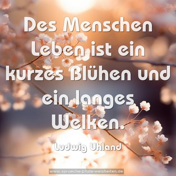 Des Menschen Leben ist
ein kurzes Blühen und ein langes Welken.