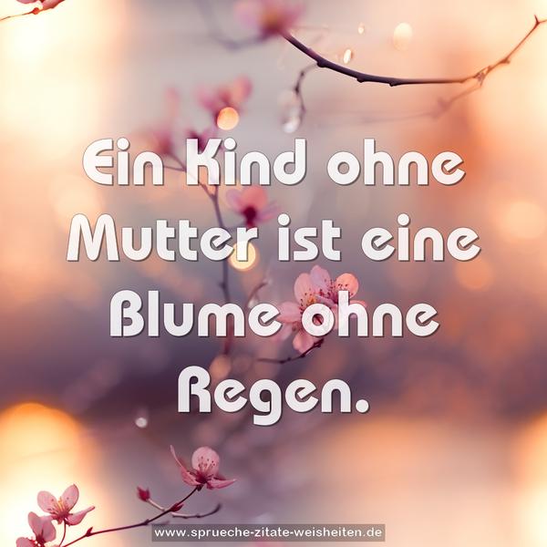 Ein Kind ohne Mutter ist eine Blume ohne Regen.