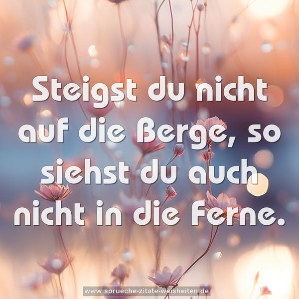 Steigst du nicht auf die Berge,
so siehst du auch nicht in die Ferne.