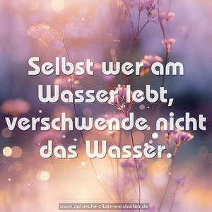 Selbst wer am Wasser lebt, verschwende nicht das Wasser. 