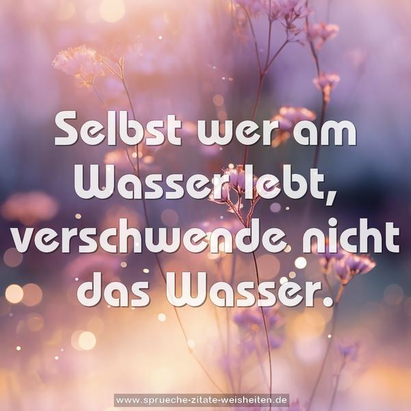 Selbst wer am Wasser lebt, verschwende nicht das Wasser.