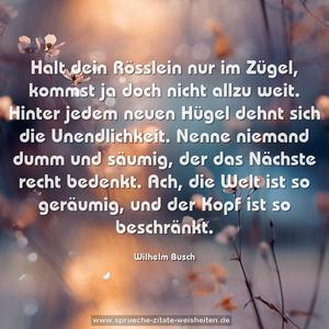 Halt dein Rösslein nur im Zügel,
kommst ja doch nicht allzu weit.
Hinter jedem neuen Hügel dehnt sich die Unendlichkeit.
Nenne niemand dumm und säumig, der das Nächste recht bedenkt.
Ach, die Welt ist so geräumig, und der Kopf ist so beschränkt.