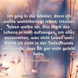 Ich ging in die Wälder, denn ich wollte wohlüberlegt leben;
intensiv leben wollte ich. Das Mark des Lebens in mich aufsaugen, um alles auszurotten, was nicht Leben war.
Damit ich nicht in der Todesstunde innewürde, dass ich gar nicht gelebt habe.