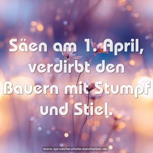 Säen am 1. April,
verdirbt den Bauern mit Stumpf und Stiel.