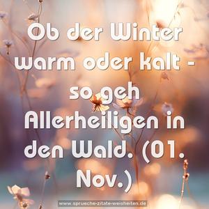 Ob der Winter warm oder kalt -
so geh Allerheiligen in den Wald.
(01. Nov.)