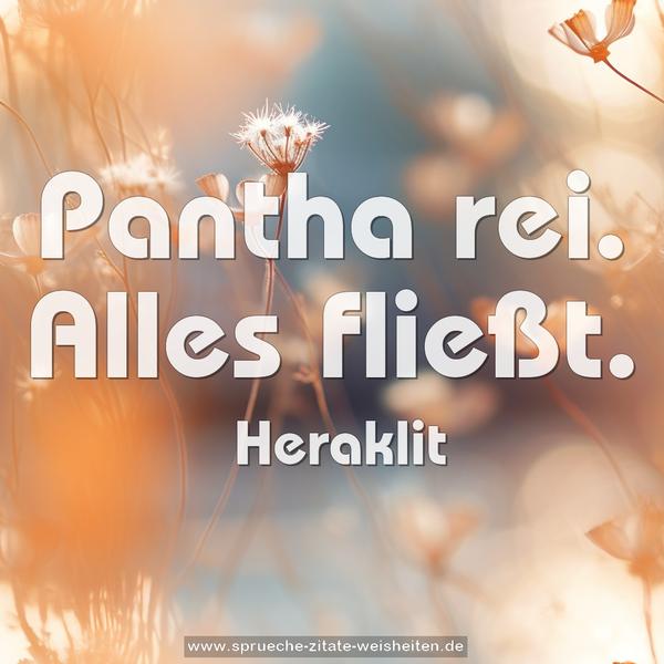 Pantha rei.
Alles fließt.