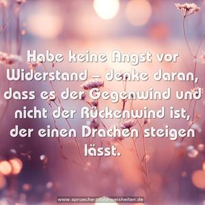 Habe keine Angst vor Widerstand –
denke daran, dass es der Gegenwind und nicht der Rückenwind ist, der einen Drachen steigen lässt.