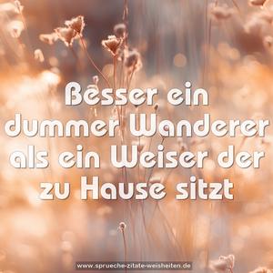 Besser ein dummer Wanderer
als ein Weiser der zu Hause sitzt