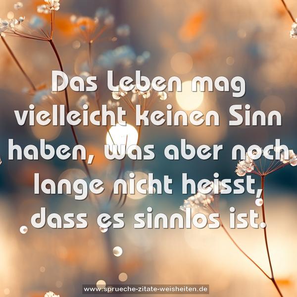 Das Leben mag vielleicht keinen Sinn haben,
was aber noch lange nicht heisst, dass es sinnlos ist.