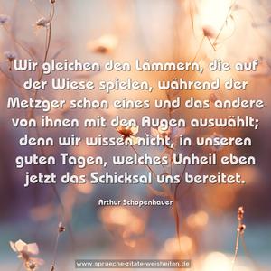 Wir gleichen den Lämmern, die auf der Wiese spielen,
während der Metzger schon eines und das andere
von ihnen mit den Augen auswählt;
denn wir wissen nicht, in unseren guten Tagen,
welches Unheil eben jetzt das Schicksal uns bereitet.