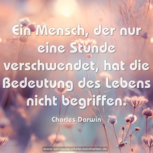 Ein Mensch, der nur eine Stunde verschwendet,
hat die Bedeutung des Lebens nicht begriffen.