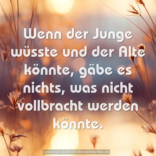Wenn der Junge wüsste und der Alte könnte,
gäbe es nichts,
was nicht vollbracht werden könnte.