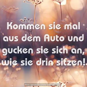 Kommen sie mal aus dem Auto und gucken sie sich an,
wie sie drin sitzen!