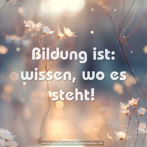 Bildung ist: wissen, wo es steht!