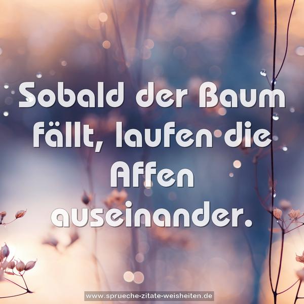 Sobald der Baum fällt,
laufen die Affen auseinander.