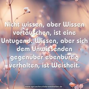 Nicht wissen, aber Wissen vortäuschen, ist eine Untugend. Wissen, aber sich dem Unwissenden gegenüber ebenbürtig verhalten, ist Weisheit. 