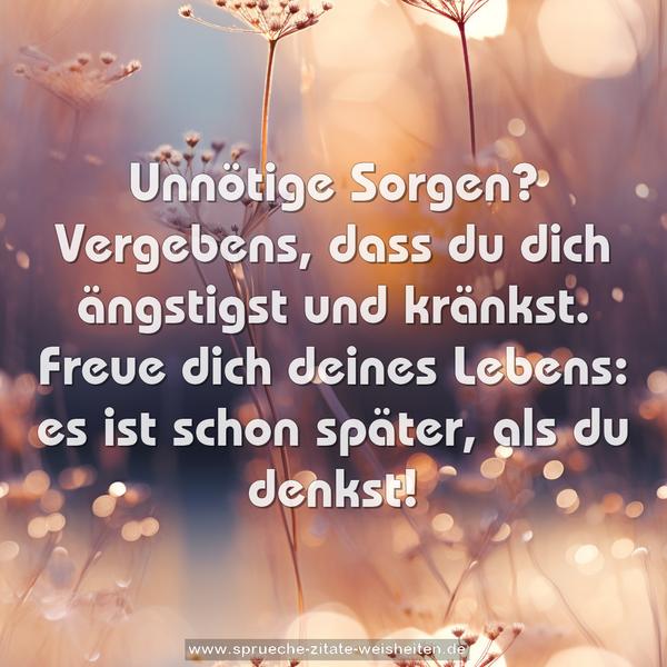 Unnötige Sorgen? Vergebens,
dass du dich ängstigst und kränkst.
Freue dich deines Lebens:
es ist schon später, als du denkst!