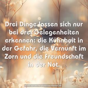 Drei Dinge lassen sich nur bei drei Gelegenheiten erkennen:
die Kühnheit in der Gefahr,
die Vernunft im Zorn
und die Freundschaft in der Not.