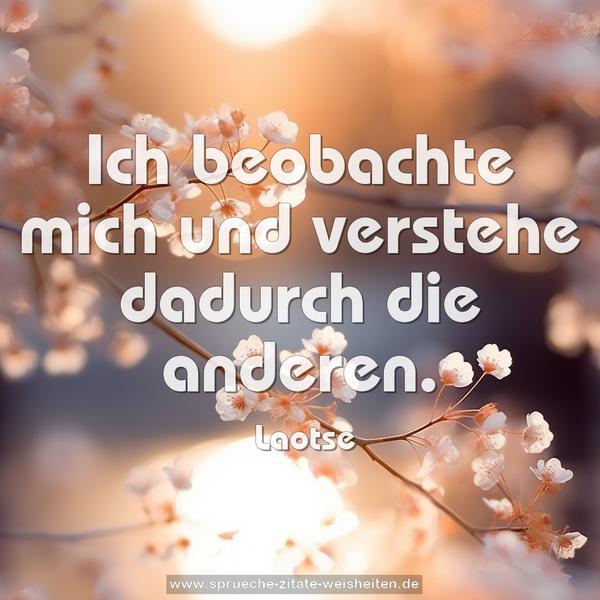 Ich beobachte mich
und verstehe dadurch die anderen.