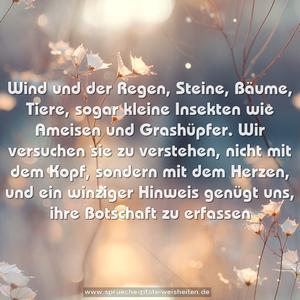 Wind und der Regen, Steine, Bäume, Tiere,
sogar kleine Insekten wie Ameisen und Grashüpfer.
Wir versuchen sie zu verstehen, nicht mit dem Kopf,
sondern mit dem Herzen,
und ein winziger Hinweis genügt uns, ihre Botschaft zu erfassen
