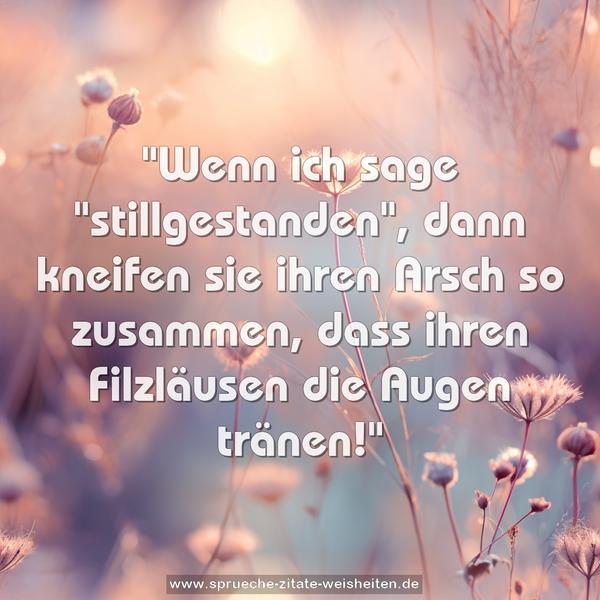 "Wenn ich sage "stillgestanden",
dann kneifen sie ihren Arsch so zusammen,
dass ihren Filzläusen die Augen tränen!" 