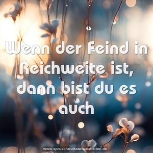 Wenn der Feind in Reichweite ist, dann bist du es auch