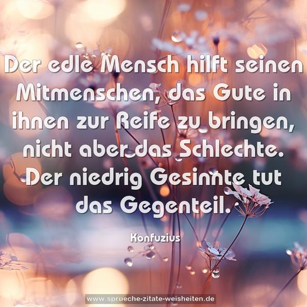 Der edle Mensch hilft seinen Mitmenschen,
das Gute in ihnen zur Reife zu bringen,
nicht aber das Schlechte.
Der niedrig Gesinnte tut das Gegenteil.