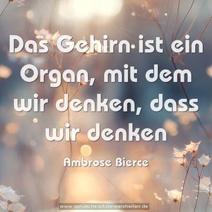  Das Gehirn ist ein Organ,
mit dem wir denken, dass wir denken
