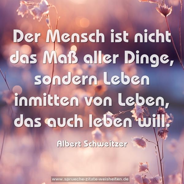 Der Mensch ist nicht das Maß aller Dinge,
sondern Leben inmitten von Leben,
das auch leben will.