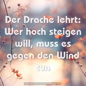 Der Drache lehrt:
Wer hoch steigen will, muss es gegen den Wind tun