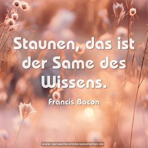 Staunen, das ist der Same des Wissens. 
