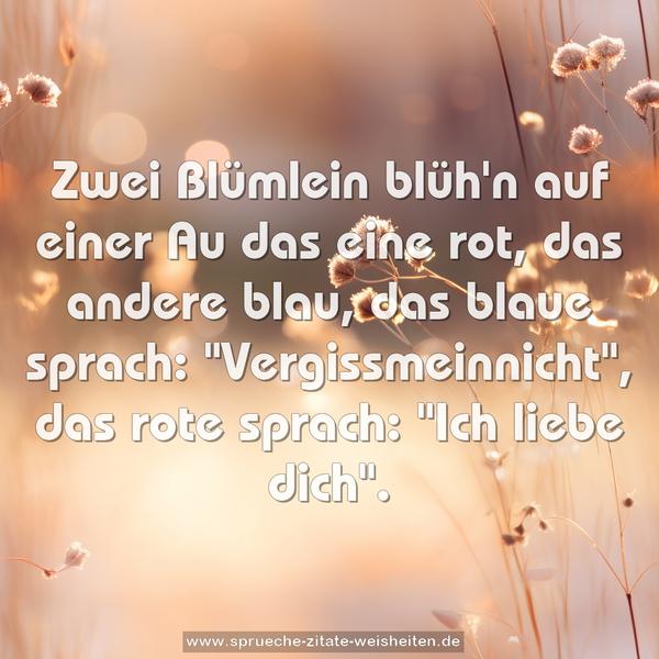 Zwei Blümlein blüh'n auf einer Au
das eine rot, das andere blau,
das blaue sprach: "Vergissmeinnicht",
das rote sprach: "Ich liebe dich".