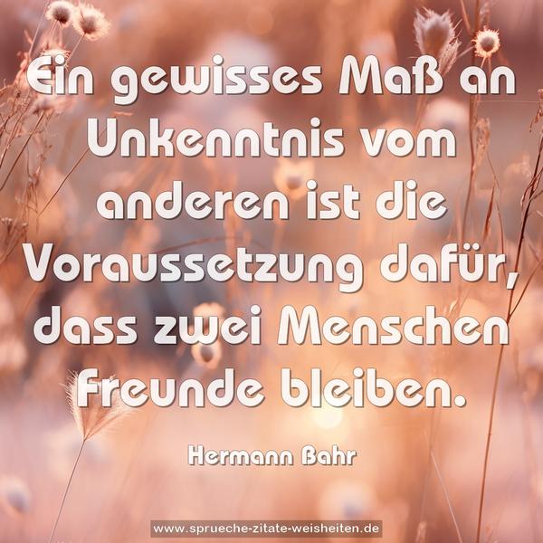 Ein gewisses Maß an Unkenntnis vom anderen ist die Voraussetzung dafür, dass zwei Menschen Freunde bleiben.