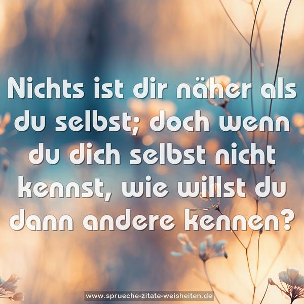 Nichts ist dir näher als du selbst;
doch wenn du dich selbst nicht kennst,
wie willst du dann andere kennen?