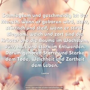 Schmiegsam und geschmeidig ist der Mensch, wenn er geboren wird, starr, störrisch und steif, wenn er stirbt.
Biegsam, weich und zart sind die Kräuter und die Bäume im Wachstum, dürr, hart und stark im Entwerden.
Darum gehören Starre und Stärke dem Tode, Weichheit und Zartheit dem Leben.