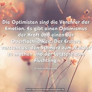 Die Optimisten sind die Verehrer der Emotion.
Es gibt einen Optimismus der Kraft
und einen der Oberflächlichkeit.
Der Erstere versteht es, den Schmerz zum Meister zu machen
und der Letztere zum Flüchtling.