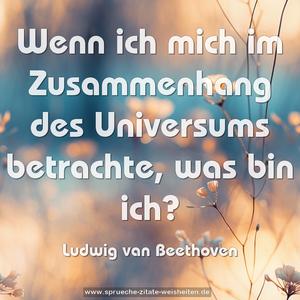 Wenn ich mich im Zusammenhang des Universums betrachte,
was bin ich?