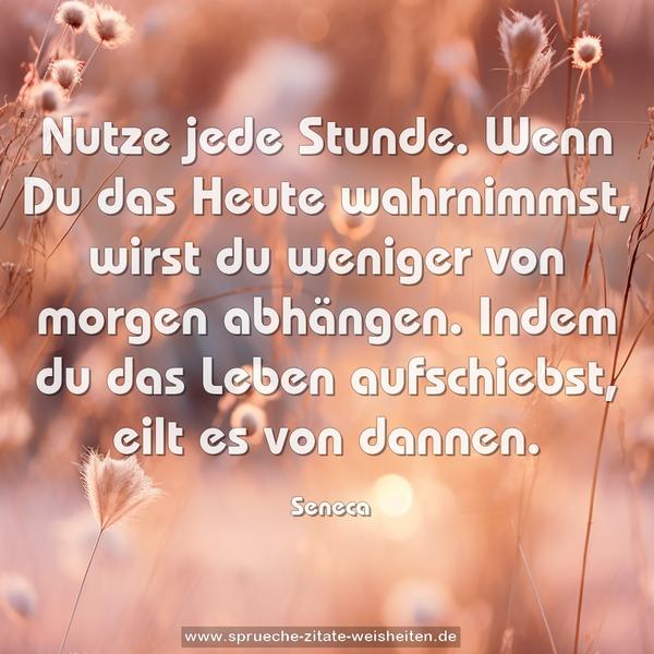 Nutze jede Stunde.
Wenn Du das Heute wahrnimmst, wirst du weniger von morgen abhängen.
Indem du das Leben aufschiebst, eilt es von dannen.