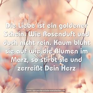 Die Liebe ist ein goldener Schein.
Wie Rosenduft und doch nicht rein.
Kaum blüht sie auf wie die Blumen im März,
so stirbt sie und zerreißt Dein Herz